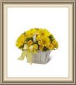 Carmens Flowers & Gifts, 516 SW 3rd St, Ankeny, IA 50023, (515)_964-4104